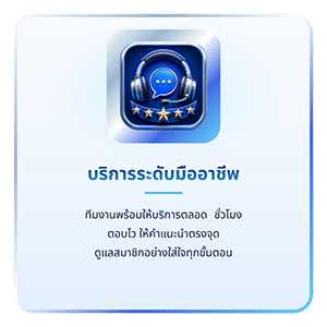 บริการระดับมืออาชีพ
